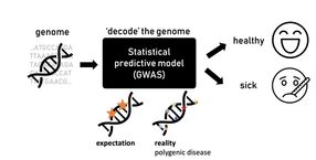 Understanding How Mutations Affect Diseases