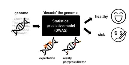 Comprendre comment les mutations affectent les maladies