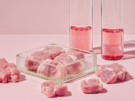 La carne de cerdo cultivada en laboratorio se apoya en el grano de sorgo