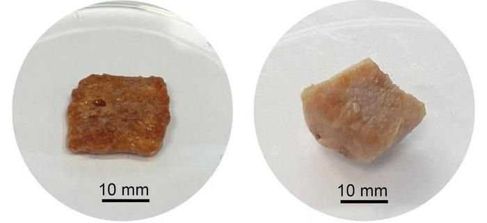 Adapted from the Journal of Agricultural and Food Chemistry 2024, DOI:10.1021/acs.jafc.4c06474