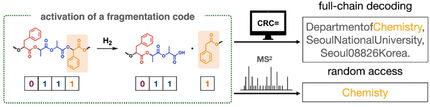 Data archiving with molecules