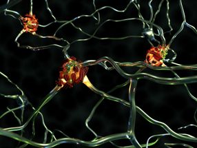 Superspreader fibrils caught in the act