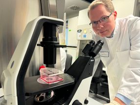 Les protéines hydrophobes affaiblissent la protection contre le cancer