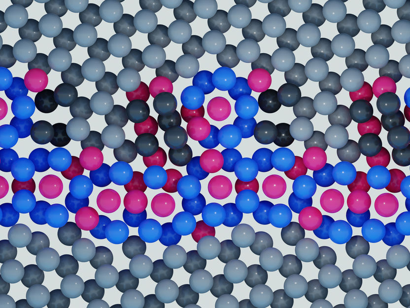 Materialforschung Überraschung an der Korngrenze - Erstmals konnte mit Hilfe neuester Mikroskopie- und Simulationstechniken beobachtet werden, wie gelöste Elemente neue Korngrenzphasen bilden