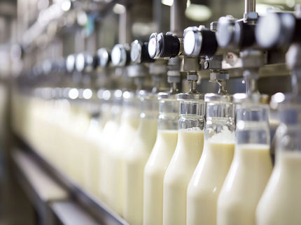 Wie aus Molkereiabfall wertvolle Präbiotika für die Darmgesundheit entstehen können