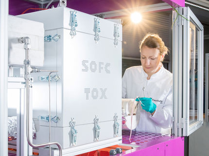 Fraunhofer-Institut IKTS