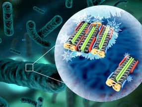 Der Mechanismus hinter eisbildenden Bakterien