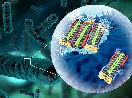 MPI für Polymerforschung