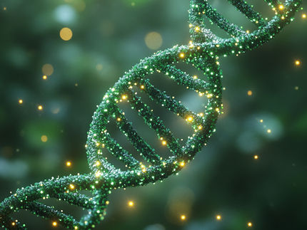 Mit Crispr entschlüsseln, ob Genvarianten zu Krebs führen