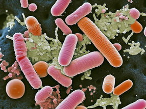 QIAGEN collaborates with McGill University to advance microbiome research