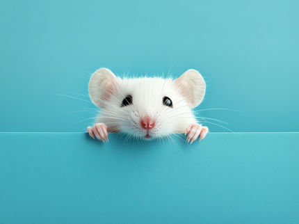 Behavioural analysis in mice: more precise results despite fewer animals