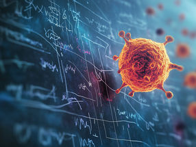 Mathematische Modellierung ermöglicht besseres Verständnis von Prostatakrebs