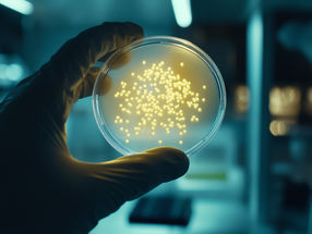 Una innovadora clase de antibiótico contra las bacterias farmacorresistentes