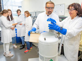 Rapid success: innovative therapy stops deadly brain inflammation