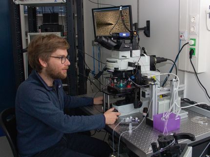 Nerve cells of blind mice retain their visual function