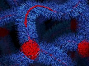Une percée majeure dans le domaine des matériaux permet de relever un défi vieux de près de 200 ans dans le domaine des polymères