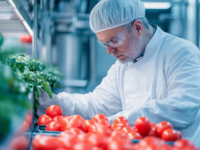 German-Tunisian leadership programme to strengthen food safety
