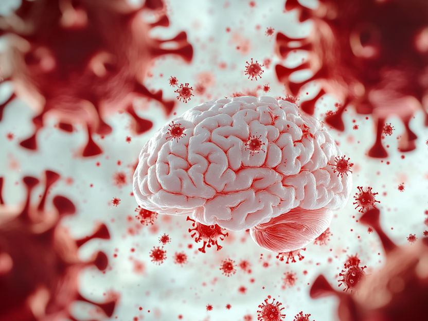 SARS-CoV-2 Spike Protein Accumulation Linked to Long-Lasting Brain Effects - Researchers have identified a mechanism that may explain the neurological symptoms of Long COVID
