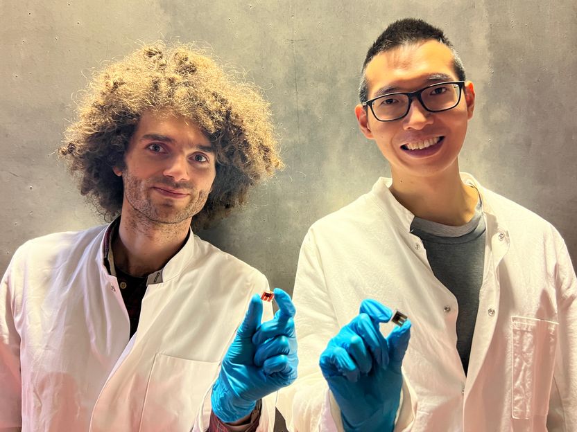 Record efficiency - tandem solar cells made from perovskite and organic material - “This was only possible by combining two major breakthroughs”