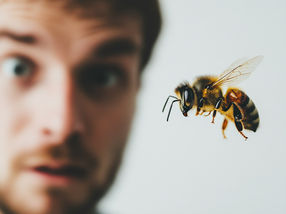 A new era of allergy treatment