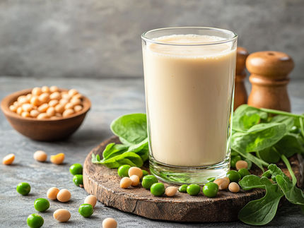 Une méthode pour améliorer la solubilité de la protéine de pois favorise son utilisation dans les aliments et les boissons