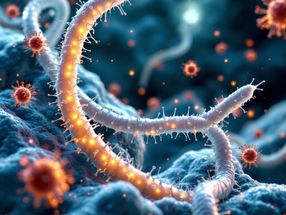 Strategie von Wurmparasiten entschlüsselt: Ein Weg zu innovativen Impfstoffen und Therapien