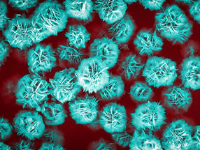 Delivering medicines with microscopic flowers