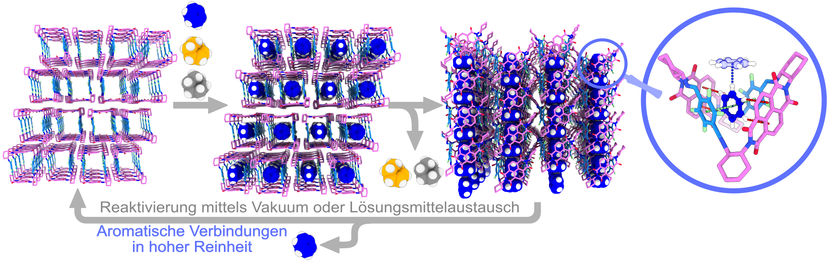 HHU / Tobias Pausch