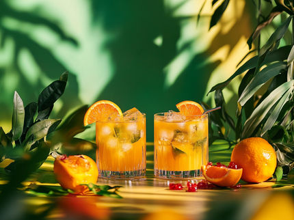 Verband der deutschen Fruchtsaft-Industrie (VdF)