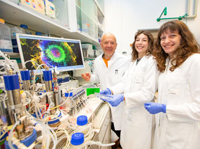 Miniature hearts for research