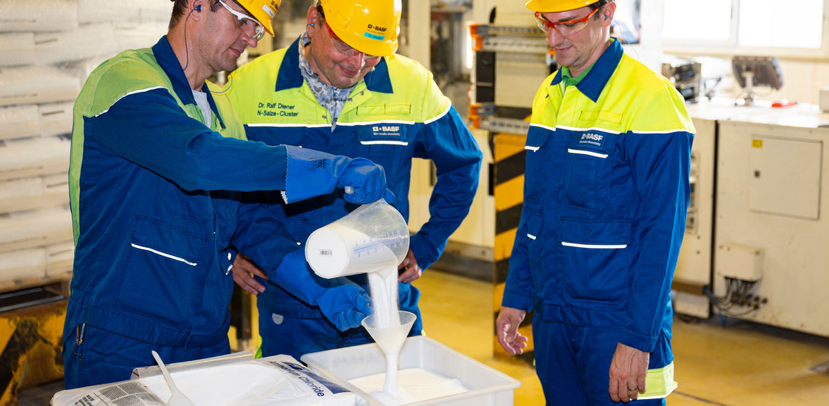BASF 2024