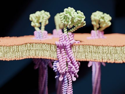 Bollwerk im Kampf gegen Viren – neues bakterielles Immunsystem entschlüsselt