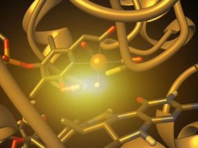Visualización de la catálisis de la [Fe]-hidrogenasa mediante espectroscopia de resonancia magnética nuclear potenciada con parahidrógeno