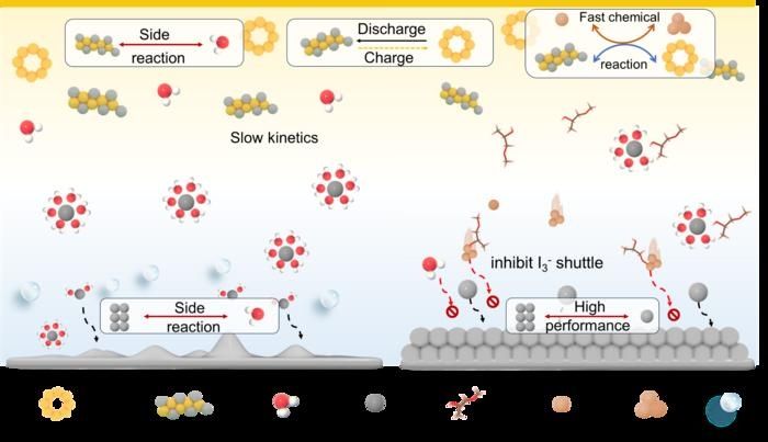 Chase Cao/Angewandte Chemie