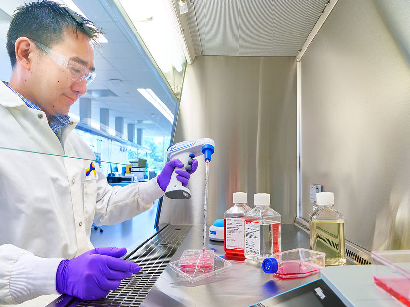 Merck to Acquire HUB Organoids Holding B.V. - Acquisition to advance company's cell culture portfolio with internationally recognized pioneer in organoid development