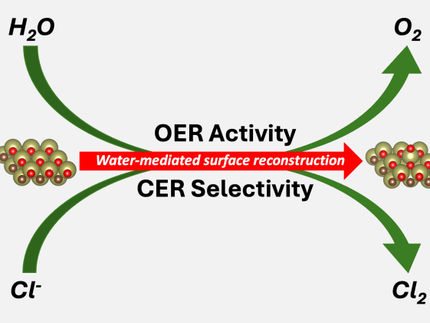 Oxygen and chlorine evolution without noble metals