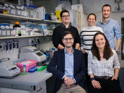 Colored nuclei reveal cellular key genes