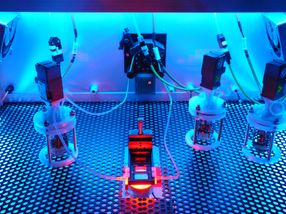 Bioreaktor ermöglicht automatisierte Langzeitkultivierung von Stammzellen