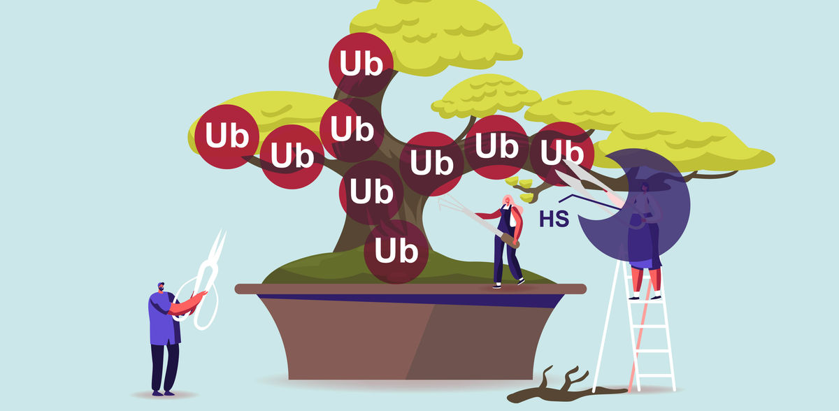 
MPI of Molecular Physiology