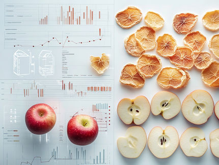 Smart food drying techniques with AI enhance product quality and efficiency