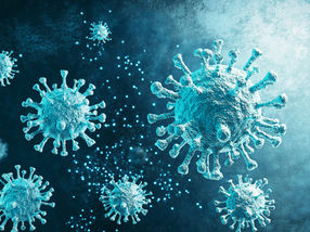 Un petit anticorps offre une large protection contre la grippe