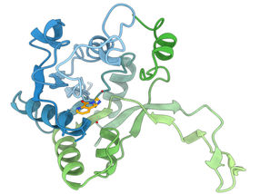 New avenues for the treatment of multi-resistant pathogens