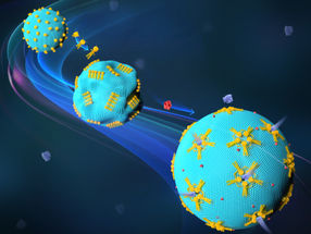 Neues Werkzeug für die synthetische Biologie: Meilenstein in der Anwendung der DNA-Nanotechnologie