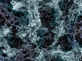 Sophisticated early warning system: How bacteria respond to threats