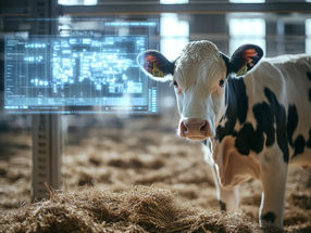 Grüne Woche – so verändert Technologie Landwirtschaft und Ernährung