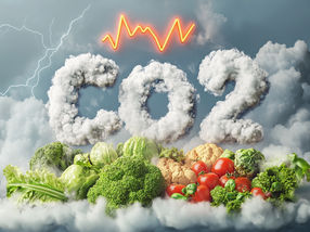 Revolución biotecnológica: el CO2 se convierte en alimento