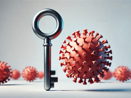 Los virus IH abren la cerradura del núcleo celular