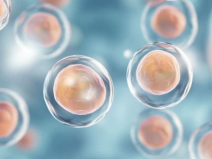 AI in Cell Research: Moscot Reveals Cell Dynamics in Unprecedented Detail