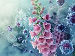 Dissolving clusters of cancer cells to prevent metastases