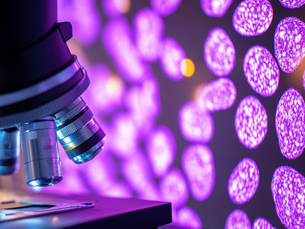 Neue Krebsdiagnostik: LIMAA Technologies und Labor Becker kündigen Partnerschaft an